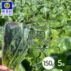 はまちゃん農園の美味しいほうれん草 150g×5袋