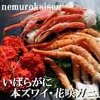 ふるさと納税 根室市 【年内配送可