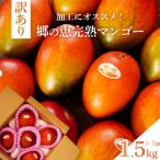 ふるさと納税 大崎町 【訳アリ】 1.5kg 大崎完熟マンゴー「郷の恵(さとのめぐみ)」加工用マンゴー(糖度10度前後)