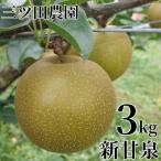 ふるさと納税 湯梨浜町 ■三ツ田農園■新甘泉3kg(301K.)