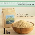 ふるさと納税 伊那市 自然栽培　カミアカリ　玄米　1kg