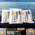 定期便3ヶ月 稲庭うどん チャック付き和紙袋入り 540g