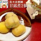 西明寺栗で作った甘露煮2個セット 02_ssk-030201