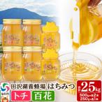 産はちみつ トチ 百花 合計2.5kg