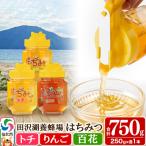 はちみつ トチ リンゴ 百花 250g×各1本 合計750g