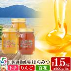 はちみつ トチ リンゴ 百花 500g×各1本 合計1.5kg