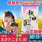 玄米 令和8年産 あきたこまち 10kg