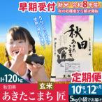 玄米10kg