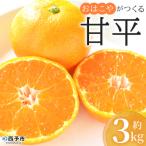 ふるさと納税 西予市 【先行受付】おはこやがつくる　甘平　3kg