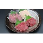 ふるさと納税 伊那市 <信州伊那谷の食文化>馬刺しの豪華セット