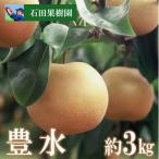ショッピングふるさと納税 梨 ふるさと納税 福島市 梨　豊水　3kg【2024年発送】No.2737