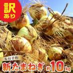 ふるさと納税 天草市 令和8年4月出荷 訳あり新たまねぎ【先行受付】_S010-077