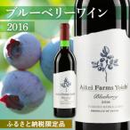 ふるさと納税 余市町 ◆ふるさと納税限定◆ブルーベリーワイン2016<アイケイファーム余市>_Y020-0671