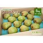 ふるさと納税 上山市 西洋梨(ラ・フランス)5kg ご家庭用 0037-2508