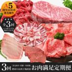 ふるさと納税 南九州市 農家のお肉工場直送【3回定期便】鹿児島県産お肉満足定期便