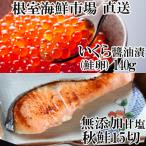 ふるさと納税 根室市 いくら醤油漬(鮭卵)70g×2P、無添加天然甘塩秋鮭15切 A-14168