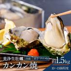 ふるさと納税 呉市 中野水産 美浄生牡蠣 冷蔵 カンカン焼 軍手、牡蠣ナイフ付 約1.5kg 10〜15個