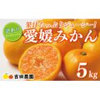 ふるさと納税 愛南町 【高評価 ★4.7】 訳あり 愛媛みかん 5kg 温州みかん ミカン 愛南町 愛媛県 吉田農園