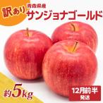 ふるさと納税 五所川原市 訳あり りんご5kg 程度【2025年12月前半発送】サンジョナゴールド 青森|不揃いリンゴ