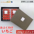 fu.... налог Kyoto city [ органический nico].. тяпка . клубника < Kyoto производство иметь машина JAS одобрено > | популярный клубника фрукты 