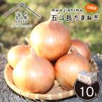 ふるさと納税 淡路市 五斗長たまねぎ 10kg 淡路島産玉ねぎ ag01607