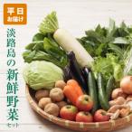 ふるさと納税 淡路市 淡路島の新鮮野菜セット【平日お届け】