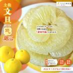 ふるさと納税 四万十市 【訳あり・早期受付・期間/数量 限定】甘味と酸味溶け合う!四万十市産・土佐文旦10kg(家庭用)25