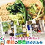 母さんのセット 季節の野菜詰め合わせ 02_sns-020201