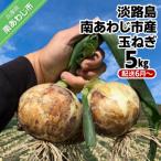 ふるさと納税 南あわじ市 【しょうちゃんFARM】　淡路島　南あわじ市産玉ねぎ 5kg　◆配送6月〜