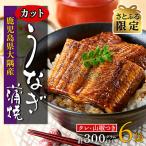 ふるさと納税 大崎町 【さとふる限定】鹿児島県産うなぎカット蒲焼6袋　計300g以上(パック個包装)