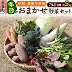 自然栽培 秋冬 季節のお任せ野菜セット Lサイズ