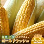 <2027年 > 夜間収穫したとうもろこし