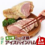 中ヨークシャー交雑種 アイスバインハム