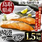 ふるさと納税 境港市 数量限定!鳥取県産活〆「境港サーモン」(定塩・塩鮭切り身1.5kg)