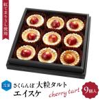ふるさと納税 東根市 さくらんぼ大粒タルト「エイスケ」(紅てまり3L使用) hi004-hi029-018r