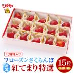 ふるさと納税 東根市 フローズンさくらんぼ「紅てまり 特撰」3L玉15粒化粧箱入 hi004-hi029-011r