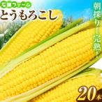 ショッピングとうもろこし ふるさと納税 当別町 【令和6年発送先行受付】石田ファーム　とうもろこし詰め合わせ20本セット