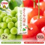 ショッピングさくらんぼ ふるさと納税 東根市 2024年産 さくらんぼ&シャインマスカットコース　hi003-106