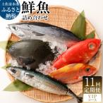 ふるさと納税 土佐清水市 【11回定期便】おまかせ!季節の鮮魚 お楽しみセット(VIPコース)魚介 海鮮【J00056】