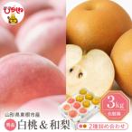 ふるさと納税 東根市 【2026年】東根市産 白桃(品種おまかせ)&和梨 詰め合わせ 3kg 秀品 hi027-240