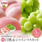 ふるさと納税 東根市 【2026年】 白桃(品種おまかせ)秀品&シャインマスカット詰め合わせ 3kg hi027-238