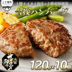 ショッピングハンバーグ ふるさと納税 上士幌町 十勝ナイタイ和牛　ビーフ&ポークハンバーグ<120g×10個>