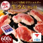 ふるさと納税 千歳市 生ラム (冷凍)タレ付 600g＜肉の山本＞