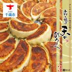 ふるさと納税 千歳市 こだわりの手打ち餃子★天のびろく 3種セット<手打ち餃子のびろく>