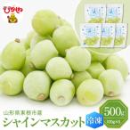 シャインマスカット 100g×5袋