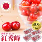 ふるさと納税 東根市 【先行受付】2024年さくらんぼ「紅秀峰」800g(200g×4パック) 東根農産センター提供