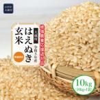 ふるさと納税 大蔵村 令和5年産　はえぬき[玄米]10kg(10kg×1袋)〜地域農業応援返礼品〜