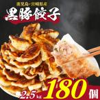 ショッピング餃子 ふるさと納税 下関市 訳あり 黒豚餃子 12粒×15パック(180粒) 国産餃子 冷凍 小分けパック たれ付き IB006