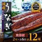 ショッピングふるさと納税 定期便 ふるさと納税 大崎町 【定期便】おおさきうなぎ鹿児島県産うなぎ長蒲焼2尾(全6回)合計12尾