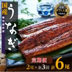 ふるさと納税 大崎町 【定期便】おおさきうなぎ鹿児島県産うなぎ長蒲焼2尾(全3回)合計6尾